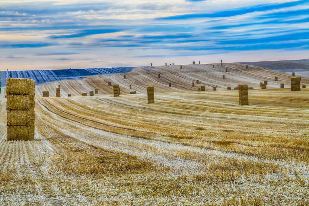 膣まわりの老化を予防するためのアイテムとは？