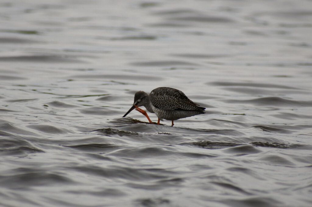 デリケートゾーンの痒みの原因と対策は何ですか？