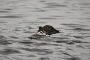 デリケートゾーンの痒みの原因と対策は何ですか？