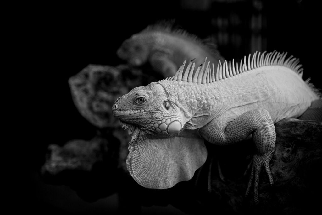 フェムケアにおすすめのSNSで人気のアイテムは？