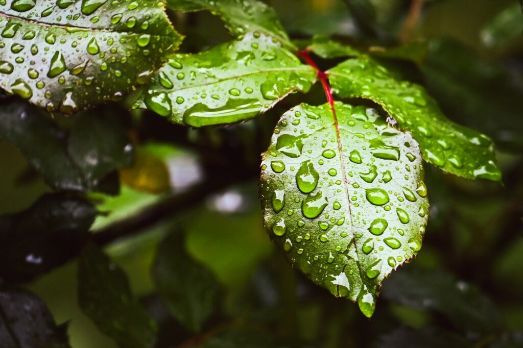 フェムゾーンの保湿クリームに含まれる成分は何ですか？