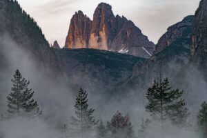 膣トレにおすすめのサプリの成分と効果は？