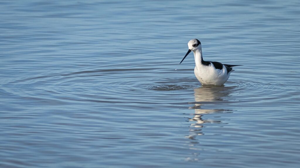 子宮脱の対策に効果的な体操とは？