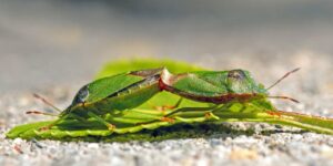 尿もれ臭いのケア方法と対策はどのように行えば良い？