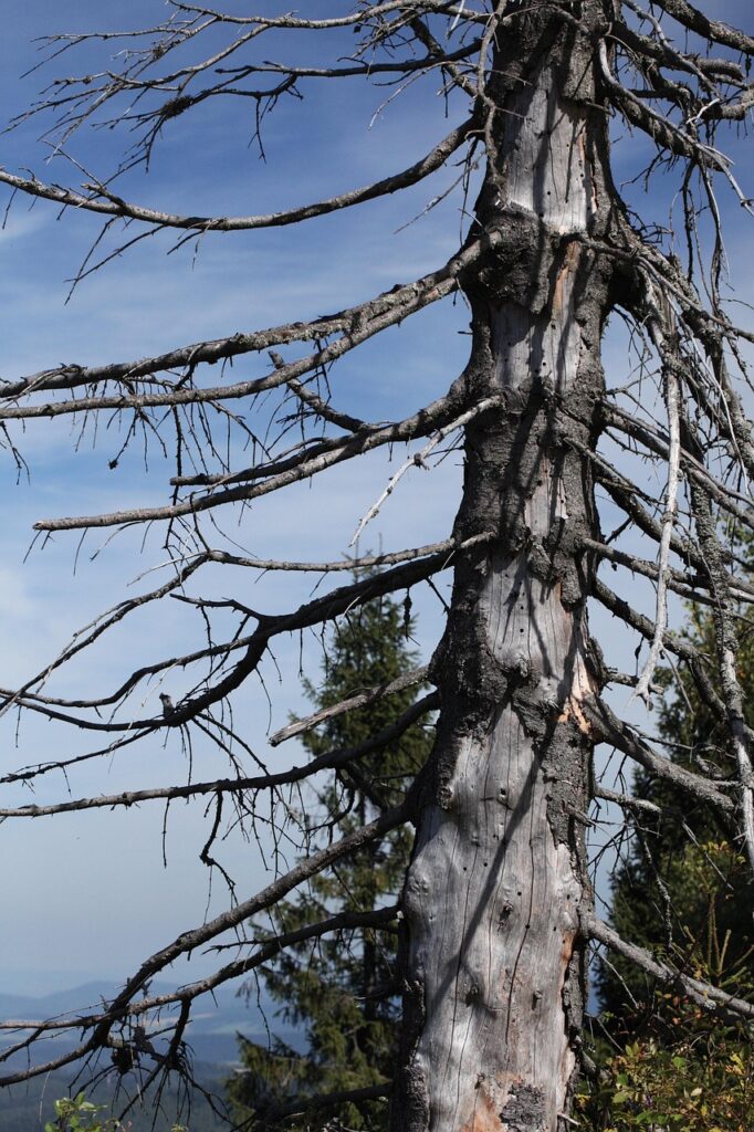 膣萎縮を改善するための効果的な方法は？
