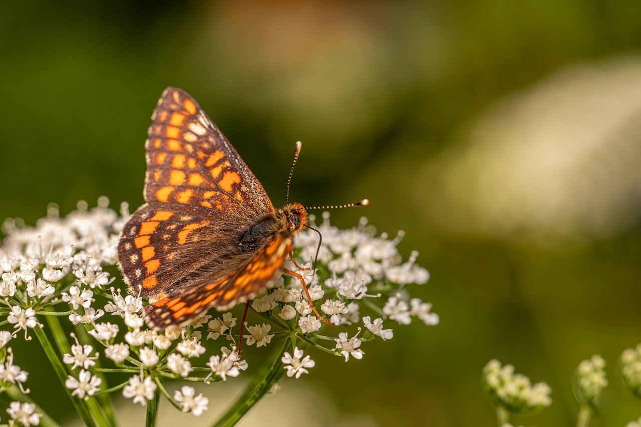 デリケートゾーンの老化対策にはどんな方法がある？