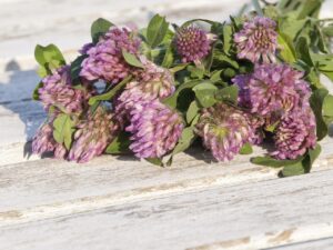 閉経後に膣のゆるみを改善するための対策は？