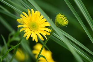 膣のゆるみを改善するためのおすすめグッズは？