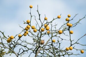 尿もれに悩む40代女性が膣の乾燥で痛い時の対処法は？