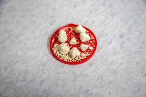 尿もれに悩む40代女性は自律神経の乱れをどう改善すればいい？