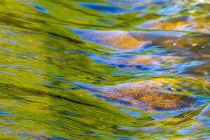 フェムケアで骨盤底筋のゆるみを改善する方法は？