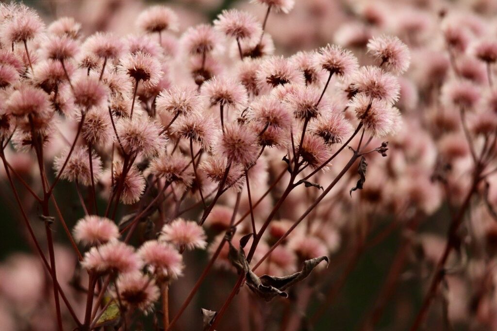 デリケートゾーンの保湿をしないと危険な理由とは？