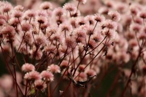 デリケートゾーンの保湿をしないと危険な理由とは？