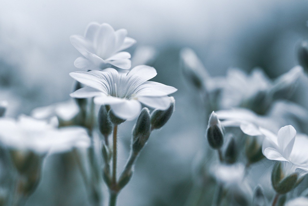 デリケートゾーンの黒ずみを解消するためのセルフケア方法は？