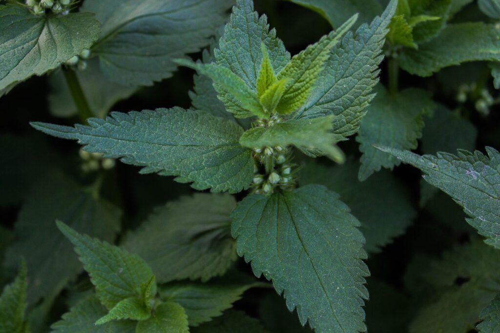 外陰部のかゆみを改善するための効果的な対策は？