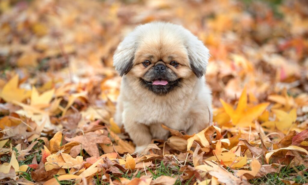 尿もれ治療に効果的な薬はどれですか？