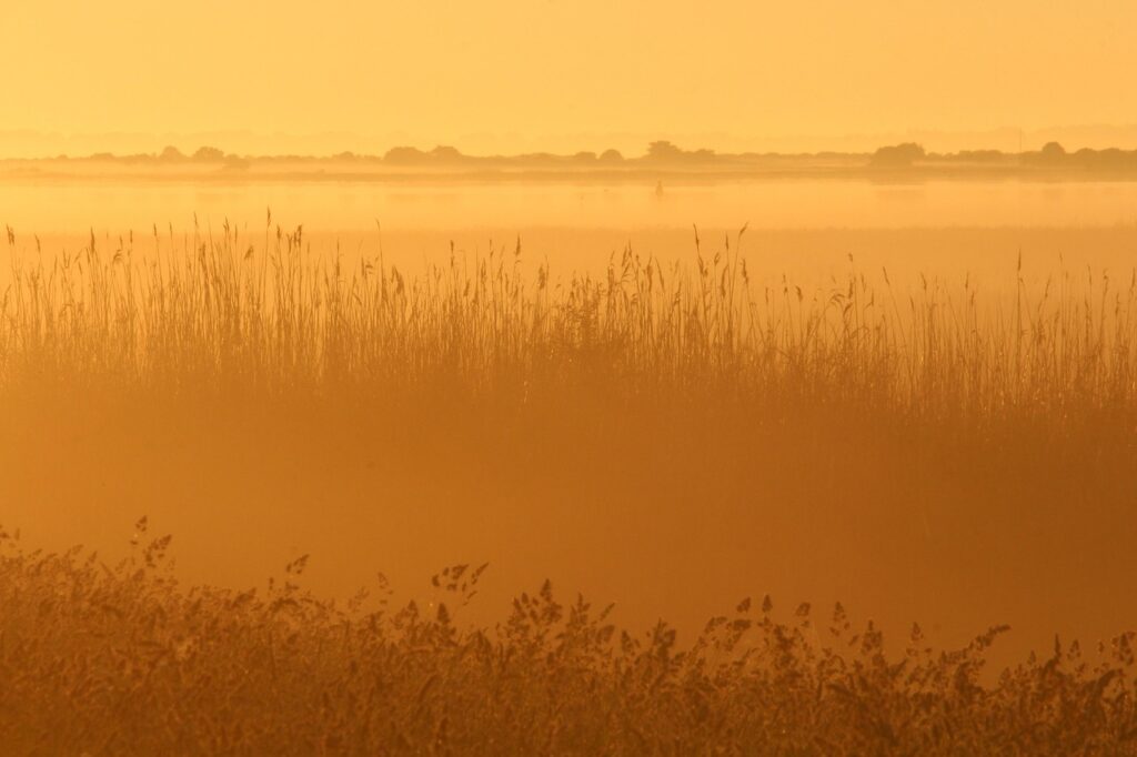尿もれ防止に効果的な骨盤ベルトの選び方は？