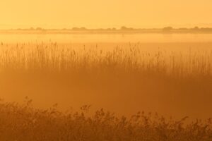 尿もれ防止に効果的な骨盤ベルトの選び方は？